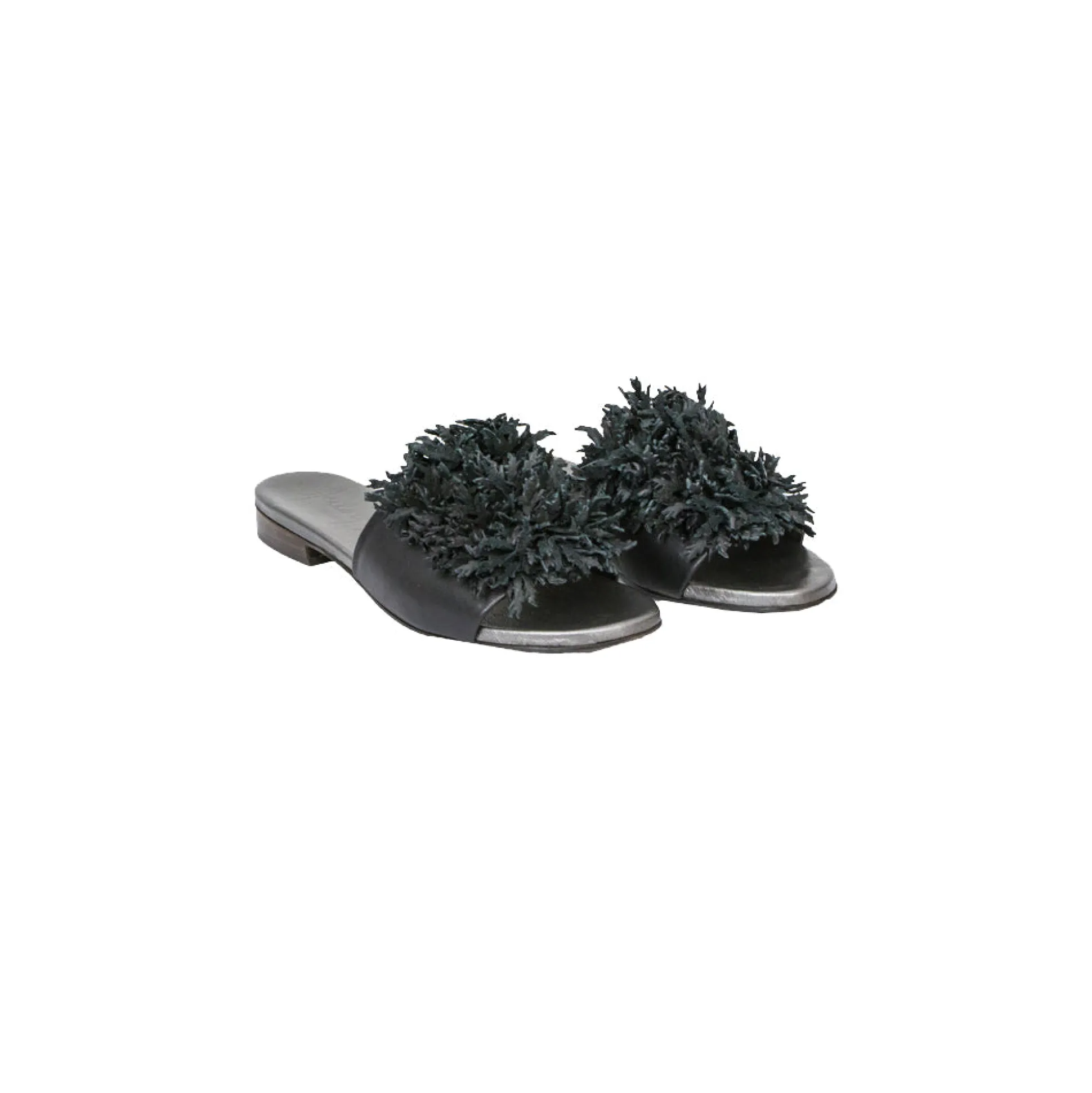 Slipper Flowers S. Barbara Black